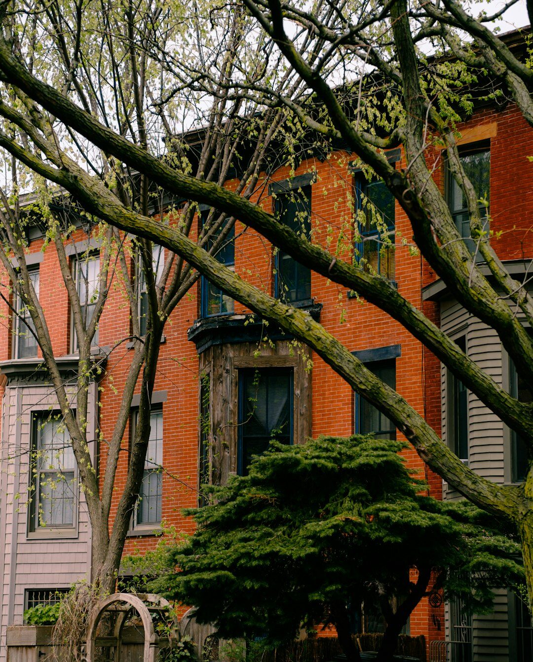 hidden neighborhood stories